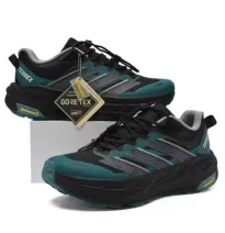 Zapatillas de Trail Running y Senderismo Adidas Terrex GORE-TEX Impermeables