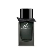 Mr burberry eau de parfum