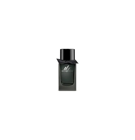 Mr burberry eau de parfum